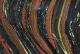 Polished Tiger Iron Stromatolite - ( Billion Years) #75830-1
